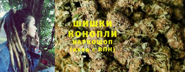 гидропоника Ельня