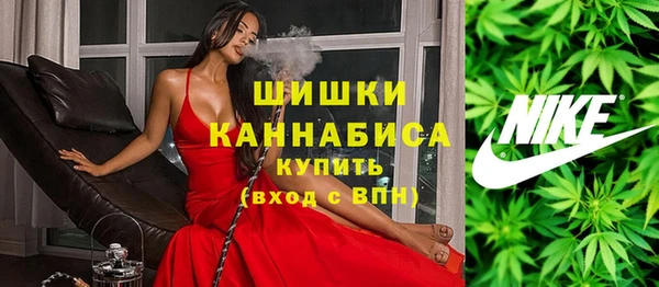 гидропоника Ельня