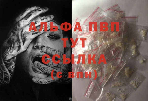 PSILOCYBIN Елизово
