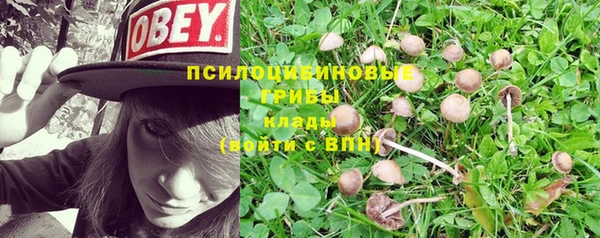 соль курить ск Елабуга