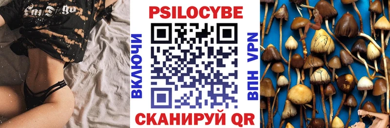 Купить где  Гурьевск  Псилоцибиновые грибы мухоморы 
