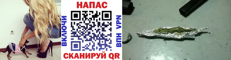 Бошки марихуана OG Kush  Купить  Гурьевск 